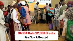 Urgent: How to Reinstate Your SASSA Grant Among 12,000 Suspensions – Act Now!
