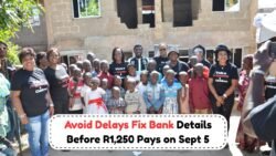 Discover How to Check Approval for the R1,250 Foster Child Grant Payout on September 5!