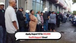 Unlock R12,500 in Youth Support: Steps to Claim Your Grant from August 15