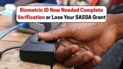 SASSA September Grants: R2,315, R560 and R1,250 Require Biometric Verification