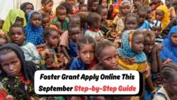 Foster Child Grant R1,250 – How to Apply Online This September