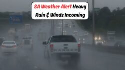 South Africa Weather Alert: Heavy Rain & Strong Winds Expected In THESE Regions