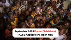 Foster Child Grant R1,250 – How to Apply Online This September