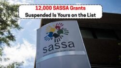 SASSA Suspends 12,000 Grants Before September 10 – Could Yours Be Affected?