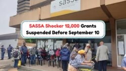SASSA Suspends 12,000 Grants Before September 10 – Could Yours Be Affected?